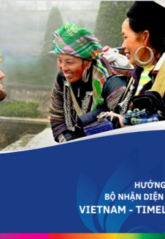 Hướng dẫn sử dụng bộ nhận dạng thương hiệu DL Việt Nam